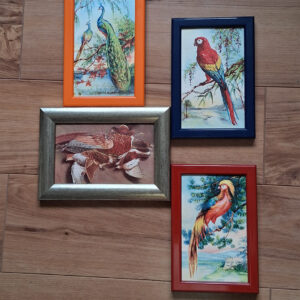 Colección de postales antiguas enmarcadas